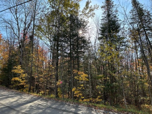 Lot - Ch. Des Riverains, Austin, QC 