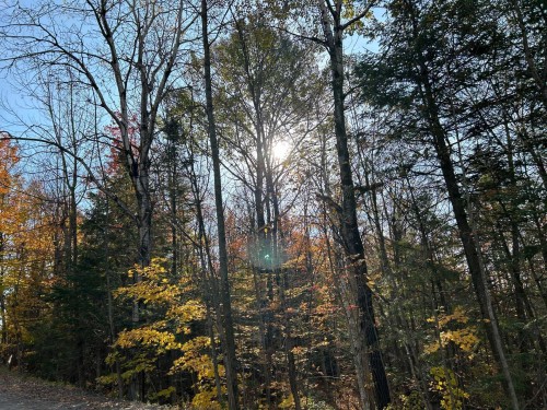 Lot - Ch. Des Riverains, Austin, QC 