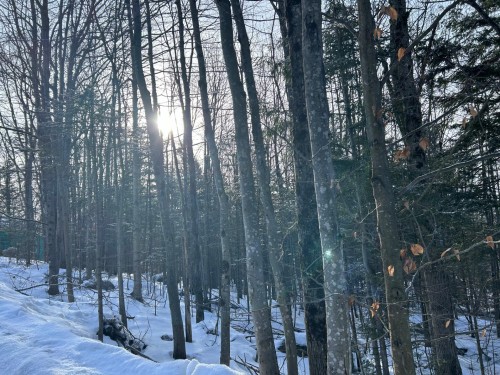 Lot - Ch. Des Riverains, Austin, QC 