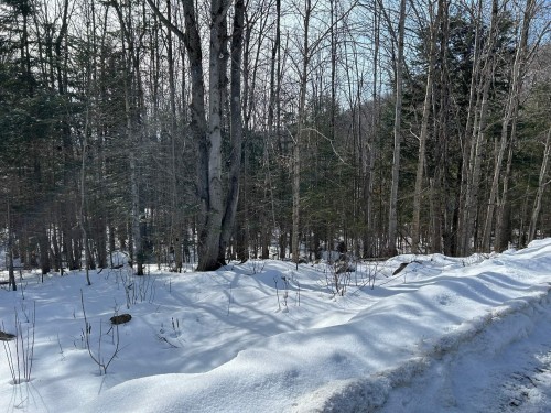 Lot - Ch. Des Riverains, Austin, QC 