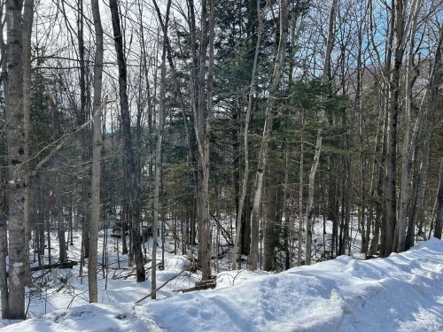 Lot - Ch. Des Riverains, Austin, QC 