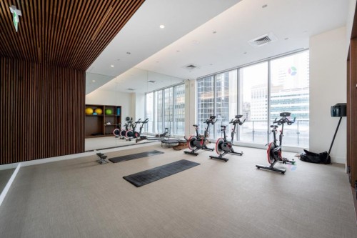 Salle d'exercice - 3802-720 Rue St-Jacques, Montréal (Ville-Marie), QC - Indoor Photo Showing Gym Room