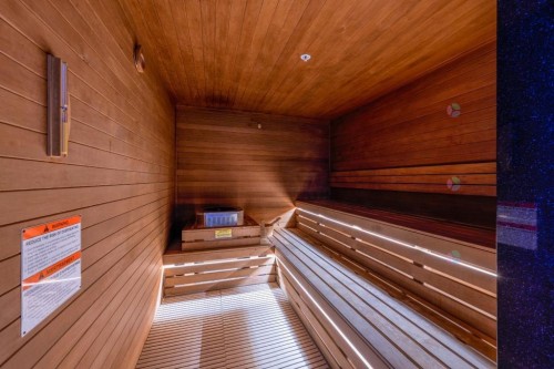 Sauna - 3802-720 Rue St-Jacques, Montréal (Ville-Marie), QC - Indoor Photo Showing Other Room
