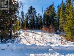 LOT 177 FARAWAY ROAD  Lone Butte, BC V0K 1X3