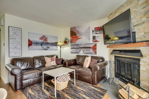 Salon - 604 Ch. Du Skieur, Piedmont, QC - Indoor Photo Showing Living Room With Fireplace