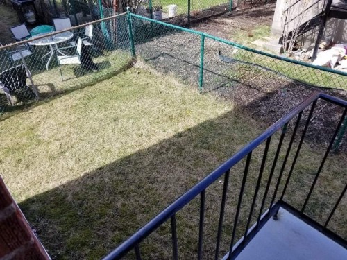 Cour - 579 15E Avenue, Montréal (Lasalle), QC - Outdoor