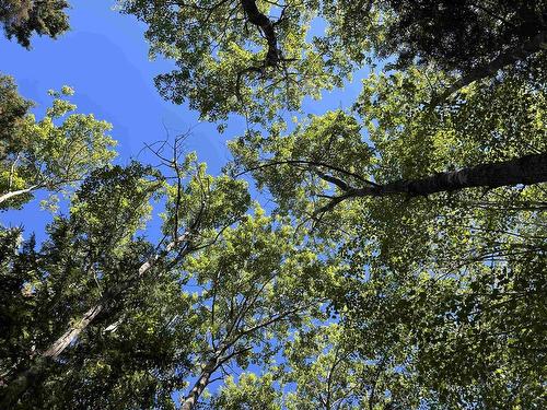 Conquerall Rd, Conquerall Bank, NS 