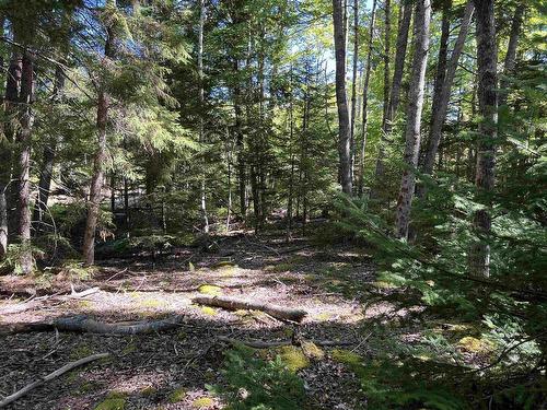 Conquerall Rd, Conquerall Bank, NS 