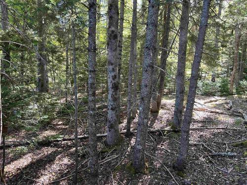 Conquerall Rd, Conquerall Bank, NS 