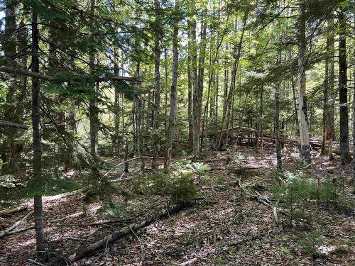 Conquerall Rd, Conquerall Bank, NS 