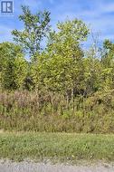 LOT 2 MONTROSE ROAD Niagara Falls (Schisler), ON L3B 5N7