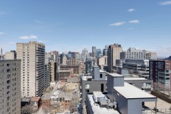 View - 