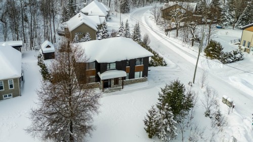 Overall view - 180 Av. Nantel, Sainte-Agathe-Des-Monts, QC - Outdoor