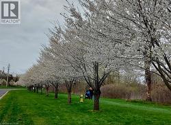 View of community with a lawn - 