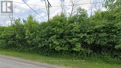 0 SEYMOUR AVENUE  Fort Erie (Crescent Park), ON L2A 5R4