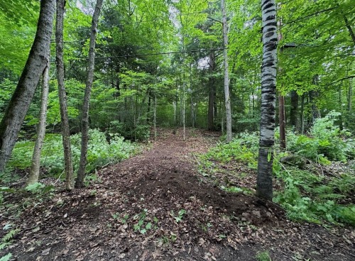 Terre/Terrain - 18 Ch. Des Faisans, Val-Des-Monts, QC 