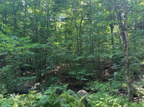 Terre/Terrain - 18 Ch. Des Faisans, Val-Des-Monts, QC 