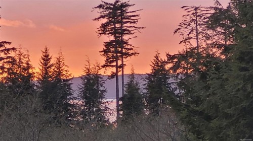 1101 Ewen Rd, Hyde Creek, BC 