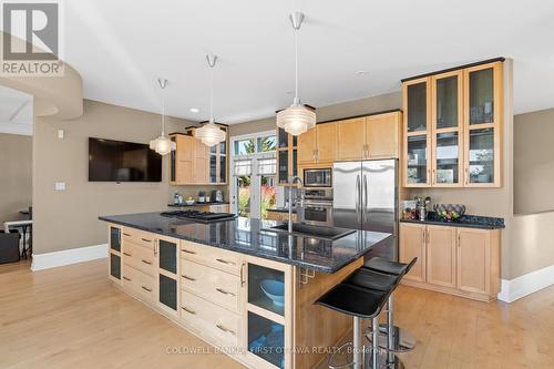358 River Road, Ottawa, ON - Indoor Photo Showing Kitchen With Upgraded Kitchen