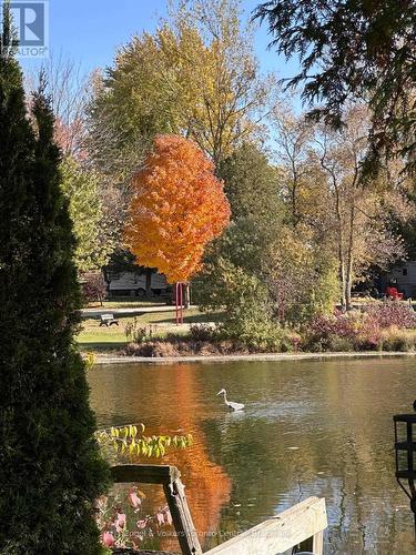 E7 - 7489 Sideroad 5 E, Wellington North, ON 