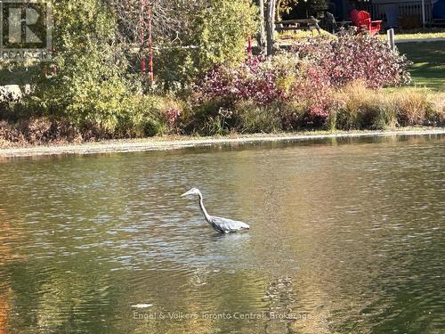 E7 - 7489 Sideroad 5 E, Wellington North, ON 