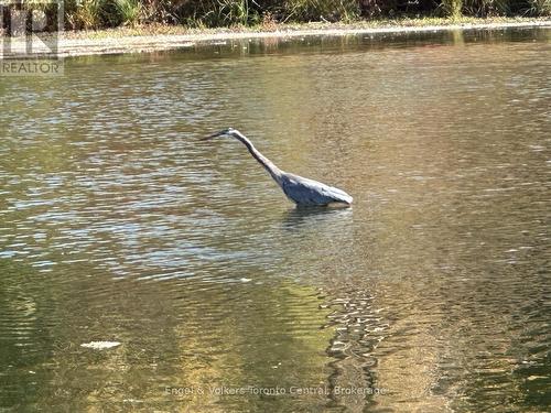 E7 - 7489 Sideroad 5 E, Wellington North, ON 