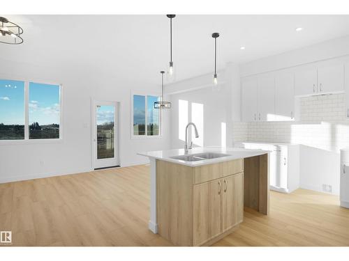 2120 210 St Nw, Edmonton, AB - Indoor Photo Showing Kitchen With Double Sink