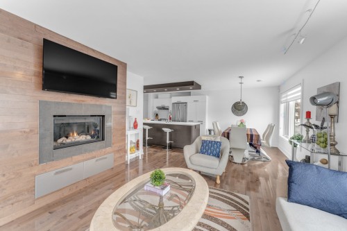 Living Room - 102-1030 Rue St-Laurent O., Longueuil (Le Vieux-Longueuil), QC - Indoor Photo Showing Living Room With Fireplace