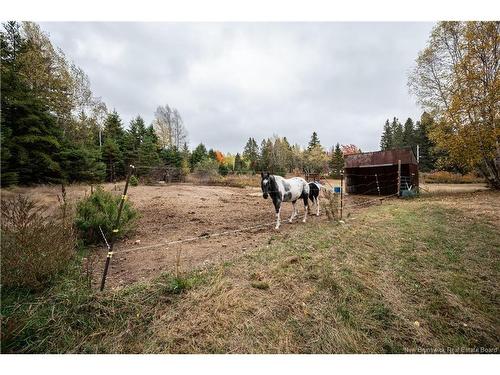 18 Church Hill Rd, Elgin, NB 