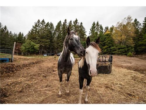 18 Church Hill Rd, Elgin, NB 