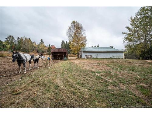 18 Church Hill Rd, Elgin, NB 
