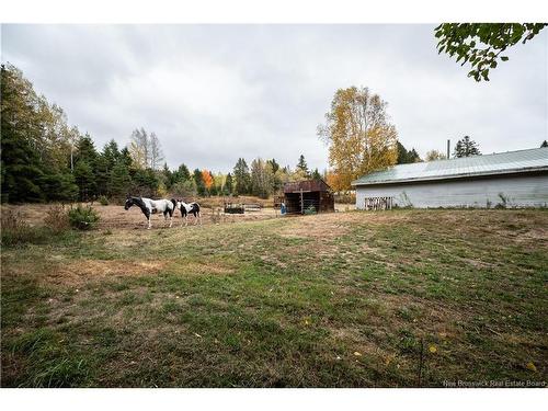 18 Church Hill Rd, Elgin, NB 