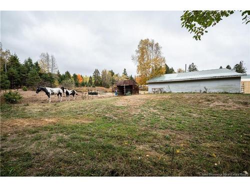 18 Church Hill Rd, Elgin, NB 