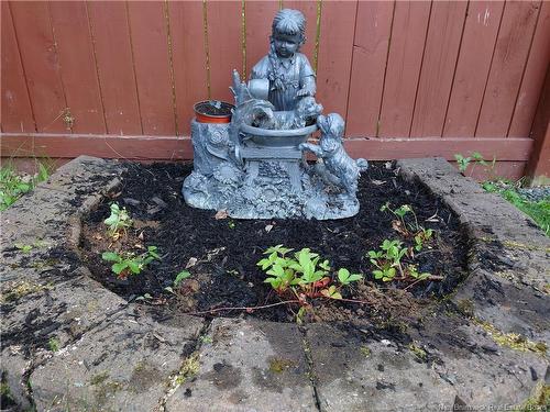 50 Sequoia Dr, Moncton, NB 