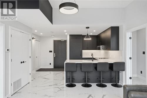 180 George Street Unit# Ph206, Ottawa, ON - Indoor Photo Showing Kitchen With Upgraded Kitchen