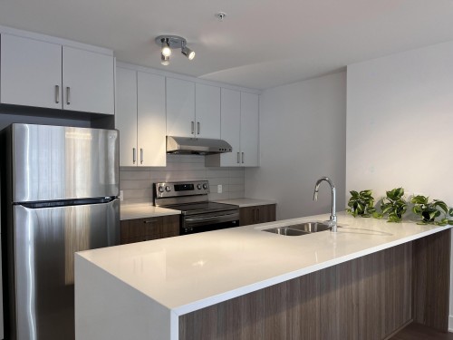 Cuisine - 402-248 Boul. Hymus, Pointe-Claire, QC - Indoor Photo Showing Kitchen With Double Sink With Upgraded Kitchen