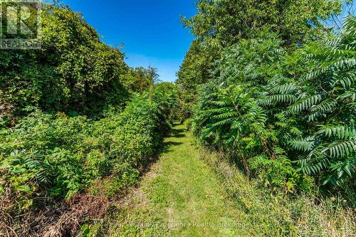 257 15 Concession E, Tiny, ON 