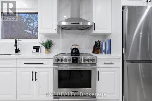 19 Broad Street, Brantford, ON - Indoor Photo Showing Kitchen With Stainless Steel Kitchen With Upgraded Kitchen