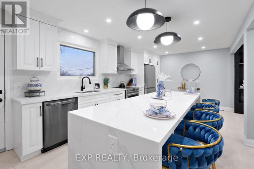 19 Broad Street, Brantford, ON - Indoor Photo Showing Kitchen With Upgraded Kitchen