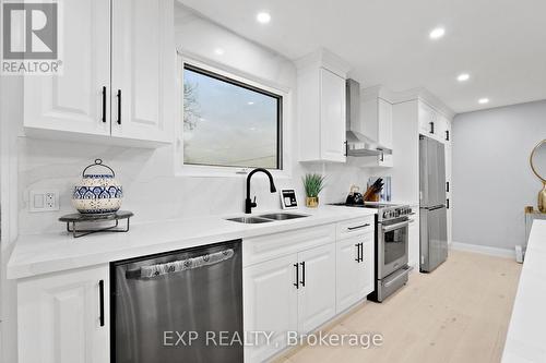 19 Broad Street, Brantford, ON - Indoor Photo Showing Kitchen With Stainless Steel Kitchen With Double Sink With Upgraded Kitchen