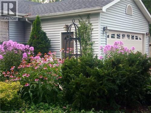 Seller's summer photo - 3012 First Street, Burlington, ON - Outdoor