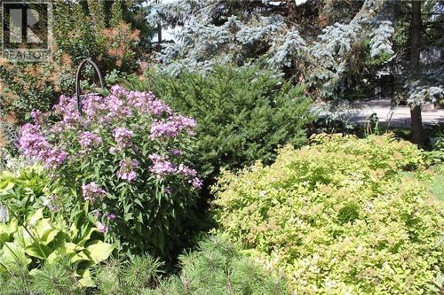 3012 First Street, Burlington, ON - Outdoor