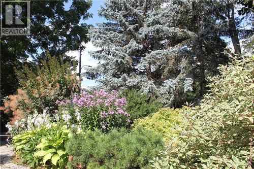 View from walkway toward driveway and road. - 3012 First Street, Burlington, ON - Outdoor