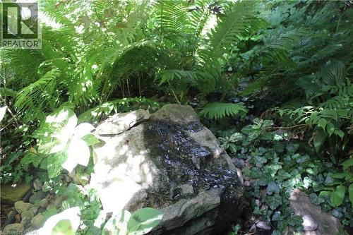 Water feature - 3012 First Street, Burlington, ON - Outdoor