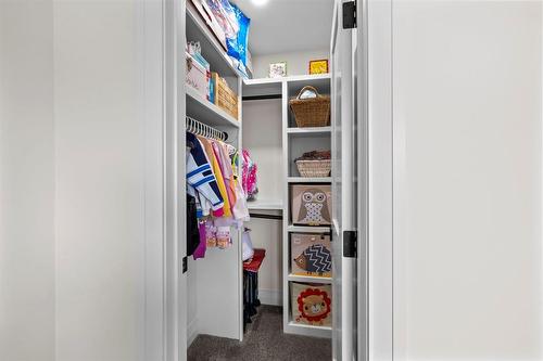 Bedroom 3 closet - 345 Beaverbrook Street, Winnipeg, MB - Indoor