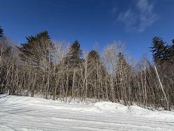 92 Forest Heights Road  Vaughan, NS B0N 2T0