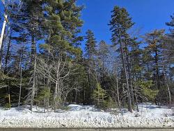 Lot 3 Station Road  Maitland, NS B0J 1E0