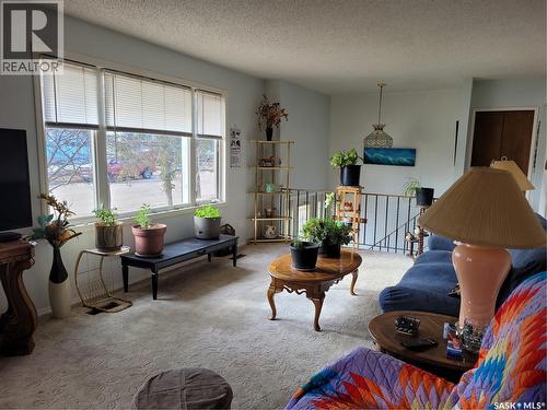 529 6Th Avenue E, Assiniboia, SK - Indoor Photo Showing Living Room