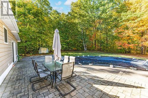 350 5 Concession W, Tiny, ON - Outdoor With In Ground Pool With Deck Patio Veranda