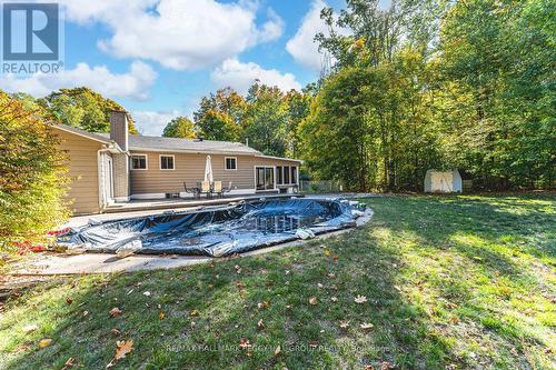 350 5 Concession W, Tiny, ON - Outdoor With In Ground Pool